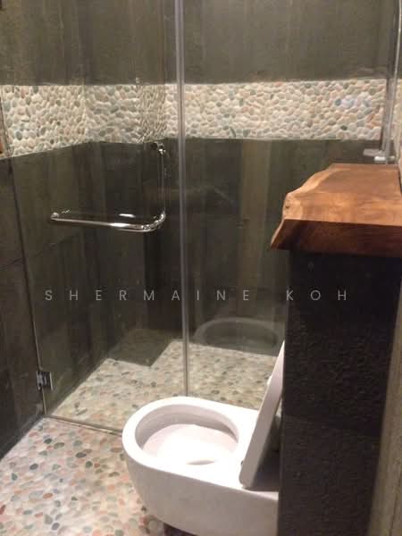 Race Course Road, 435 Race Course Road, Studio, 500 sqft, Apartment For Rent, by Shermaine Koh, 500222316 - Bathroom - PropertyGuru.com.sg