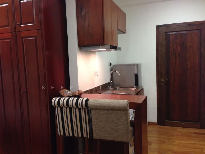 Race Course Road, 435 Race Course Road, Studio, 550 sqft, Apartment For Rent, by Shermaine Koh, 500222336 - Kitchen - PropertyGuru.com.sg
