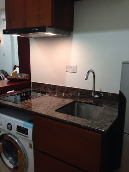Race Course Road, 435 Race Course Road, Studio, 550 sqft, Apartment For Rent, by Shermaine Koh, 500222336 - Kitchen - PropertyGuru.com.sg