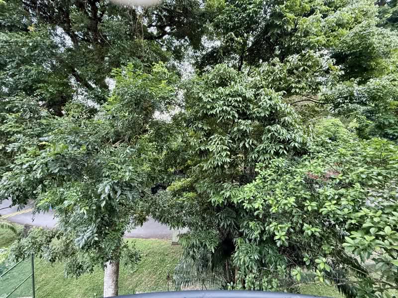 Tanglin Park, 1 Ridley Park, 2 Bedrooms, 1,023 sqft, Condominium For Sale, by Lynn Er, 500222342 - Exterior - PropertyGuru.com.sg