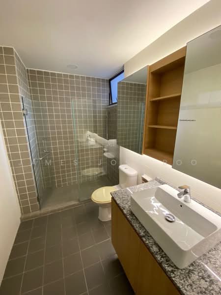 Newton Lodge, 41 Newton Road, 1 Bedroom, , Apartment For Rent, by James Jose Boo, 500222906 - master room toilet - PropertyGuru.com.sg