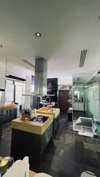 The Legend, 361 Bukit Timah Road, Tanglin / Holland / Bukit Timah, 5 Bedrooms, 4,100 sqft, Condominium For Rent, by Cheu Serena, 500223163 - Kitchen - PropertyGuru.com.sg