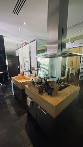 The Legend, 361 Bukit Timah Road, Tanglin / Holland / Bukit Timah, 5 Bedrooms, 4,100 sqft, Condominium For Rent, by Cheu Serena, 500223163 - Kitchen - PropertyGuru.com.sg