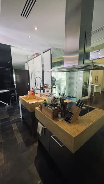 The Legend, 361 Bukit Timah Road, Tanglin / Holland / Bukit Timah, 5 Bedrooms, 4,100 sqft, Condominium For Rent, by Cheu Serena, 500223163 - Kitchen - PropertyGuru.com.sg