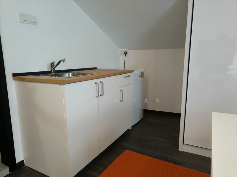 Sophia, Sophia road, Studio, 350 sqft, Apartment For Rent, by Karen Tan, 500223445 - Kitchen - PropertyGuru.com.sg