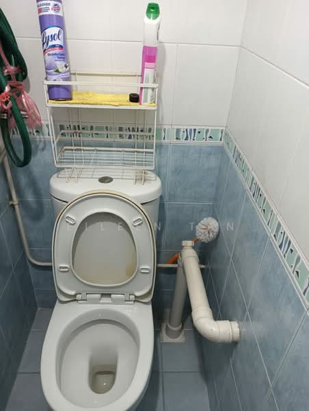 202 Toa Payoh North, 202 Toa Payoh North, Room Rental, 150 sqft, HDB Flat For Rent, by Eileen Tan, 500223603 - Bathroom - PropertyGuru.com.sg