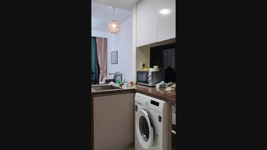 Sky Green, 568 Macpherson Green, 1 Bedroom, 474 sqft, Condominium For Rent, by Grace Neo, 500223724 - PropertyGuru.com.sg