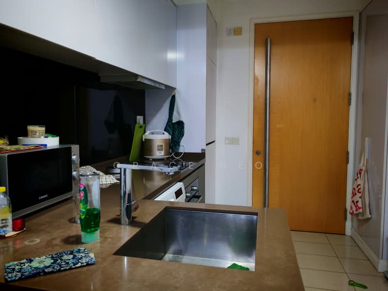 Sky Green, 568 Macpherson Green, 1 Bedroom, 474 sqft, Condominium For Rent, by Grace Neo, 500223724 - Kitchen - PropertyGuru.com.sg