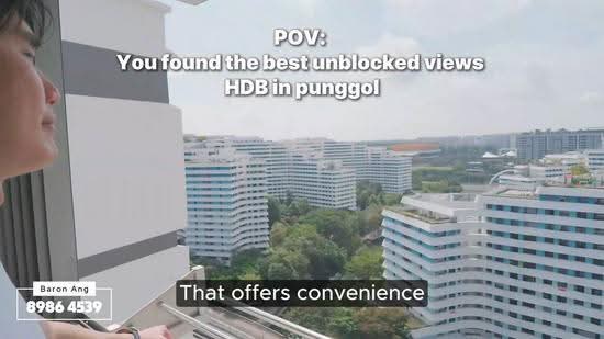 316A Punggol Way, 316A Punggol Way, Hougang / Punggol / Sengkang, 3 Bedrooms, 1,001 sqft, HDB Flat For Sale, by Baron Ang, 500223792 - PropertyGuru.com.sg