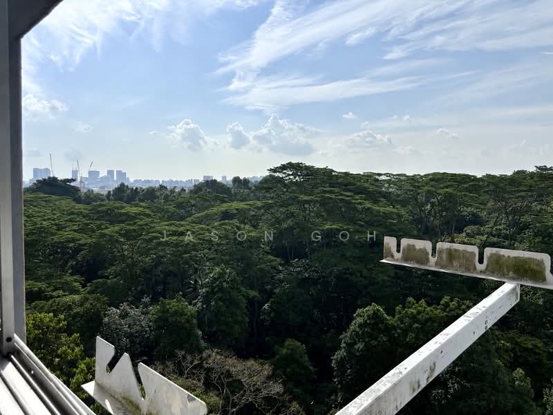 117 Clementi Street 13, 117 Clementi Street 13, 3 Bedrooms, 1,162 sqft, HDB Flat For Sale, by Jason Goh, 500223918 - View - PropertyGuru.com.sg