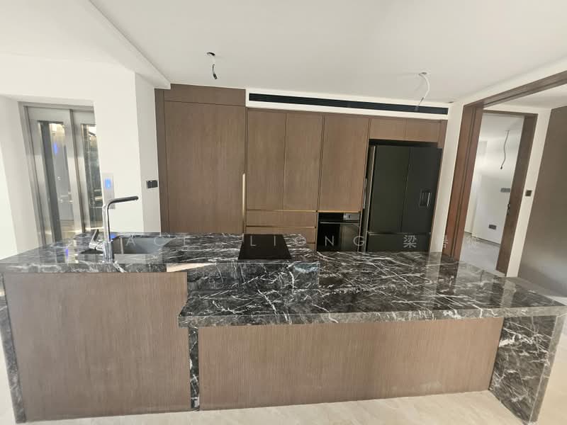 Brand New Detached@ Braddell Heights Estate Near Lorong Chuan MRT, Carmichael Road, Chiltern Drive, Clifton Vale, Dunsfold Drive, Lynwood Grove, Mackerrow Road, Melrose Drive, Muswell Hill, Sommerville Road, Sundridge Park Road, 6 Bedrooms, 8,960 sqft, Detached House For Sale, by Grace  LIONG 梁礜從, 500224222 - Kitchen - PropertyGuru.com.sg