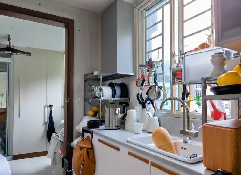 Rio Vista, , 3 Bedrooms, 1,248 sqft, Condominium For Sale, by David Yong, 500224234 - Kitchen - PropertyGuru.com.sg