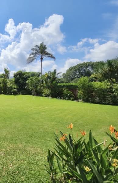 GCB Caldecott HILL, Olive Road, 6 Bedrooms, 6,500 sqft, Good Class Bungalow For Sale, by Edalene Lee, 500224374 - Garden - PropertyGuru.com.sg