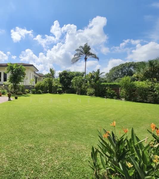 GCB Caldecott HILL, Olive Road, 6 Bedrooms, 6,500 sqft, Good Class Bungalow For Sale, by Edalene Lee, 500224374 - Garden - PropertyGuru.com.sg