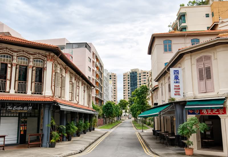 GEYLANG CONSERVATION AREA
