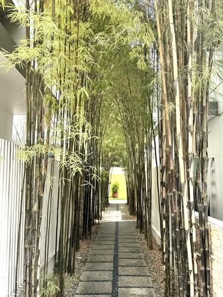 The Shaughnessy, 2 Miltonia Close, 5 Bedrooms, 3,584 sqft, Cluster House For Sale, by Tan Kian Seng, 500224641 - Exterior - PropertyGuru.com.sg