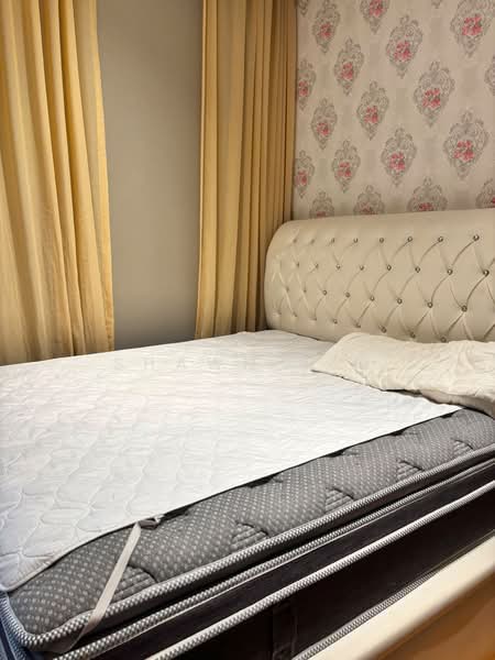 Watercove, , Room Rental, 200 sqft, Cluster House For Rent, by Shawn Sim, 500224776 - Bedroom - PropertyGuru.com.sg