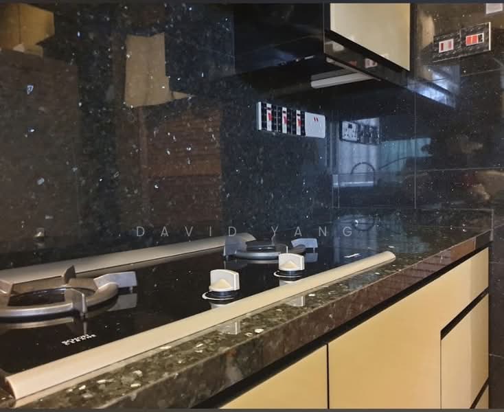 Parbury Hill Condominium, 38 Parbury Avenue, 3 Bedrooms, 900 sqft, Condominium For Rent, by David Yang, 500224810 - Kitchen - PropertyGuru.com.sg