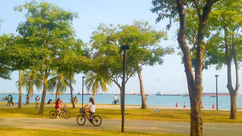 The Sea View, 37 Amber Road, 3 Bedrooms, 1,410 sqft, Condominium For Rent, by Sandy Lim 林莎莎, 500224946 - East Coast Park - PropertyGuru.com.sg