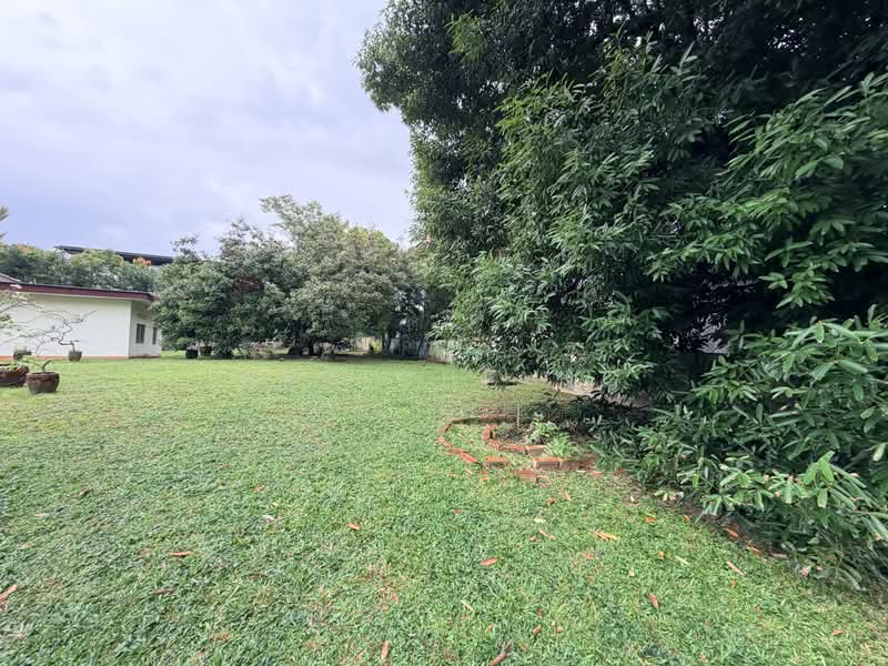 Binjai Park, , 5 Bedrooms, 4,800 sqft, Good Class Bungalow For Sale, by Ben Chiang, 500224971 - Garden - PropertyGuru.com.sg