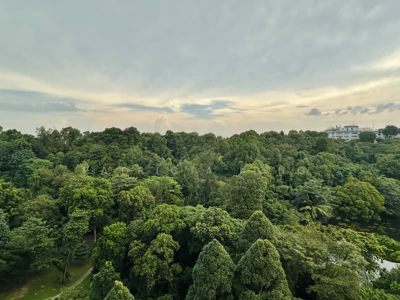 Normanton Park, 57 Normanton Park, Buona Vista / West Coast / Clementi New Town, 3 Bedrooms, 936 sqft, Condominium For Sale, by Patricia Kong, 500225149 - Unblocked Greenery View from Balcony - PropertyGuru.com.sg