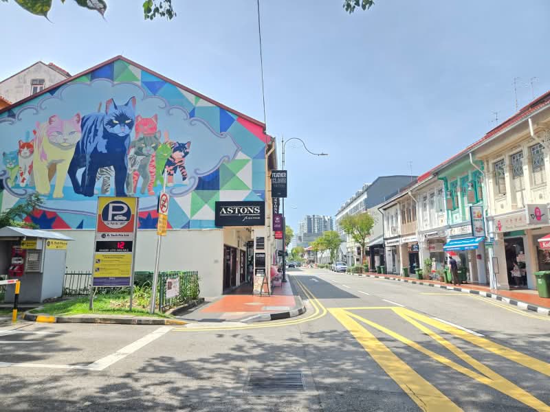 Rare 3-Storey Freehold Conserved Shophouse in Joo Chiat Road D15 for Sales!, Joo Chiat Road, East Coast Road, 1,869 sqft, Shop / Shophouse For Sale, by Jovis Thia, 500225370 - Exterior - CommercialGuru.com.sg