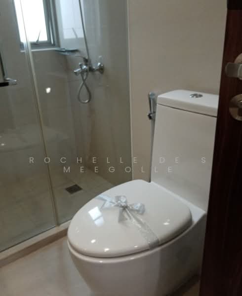 Nassim Regency, 37 Nassim Road, 3 Bedrooms, 2,056 sqft, Apartment For Rent, by Rochelle De S Meegolle, 500225409 - Bathroom - PropertyGuru.com.sg