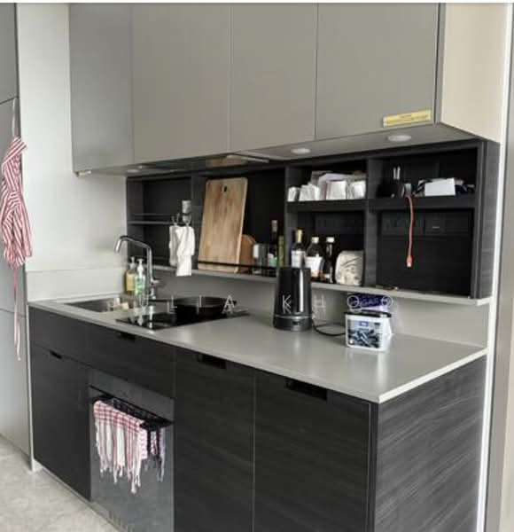 Haus On Handy, 28 Handy Road, 1 Bedroom, 474 sqft, Condominium For Sale, by Julia Khoo, 500225492 - Kitchen - PropertyGuru.com.sg