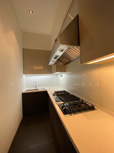 The Green Collection Golf Terrace, Cove Drive Sentosa, 5 Bedrooms, 5,900 sqft, Terraced House For Rent, by Ngo Tong Hang, 500225731 - Wet Dry Kitchen - PropertyGuru.com.sg