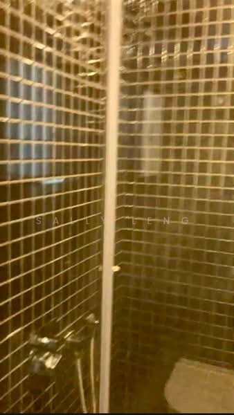 Skysuites @ Anson, 8 Enggor Street, Studio, 365 sqft, Condominium For Sale, by Sally Leng, 500225871 - Bathroom - PropertyGuru.com.sg