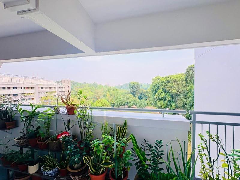 269 Bukit Batok East Avenue 4, 269 Bukit Batok East Avenue 4, Dairy Farm / Bukit Panjang / Choa Chu Kang, 2 Bedrooms, 689 sqft, HDB Flat For Sale, by STEVEN NG, 500225891 - Balcony - PropertyGuru.com.sg