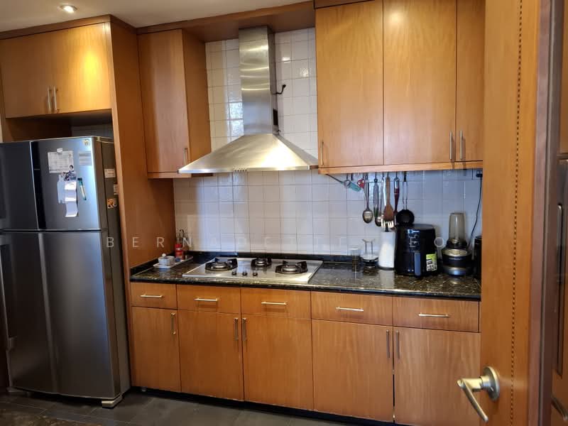 Horizon Towers, 15 Leonie Hill Road, 4 Bedrooms, 2,590 sqft, Condominium For Sale, by Bernadette Teo, 500225941 - Kitchen - PropertyGuru.com.sg