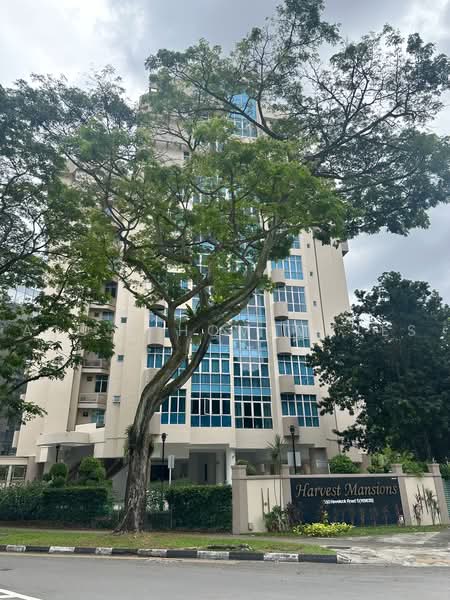Harvest Mansions, 550 Havelock Road, Room Rental, 99 sqft, Apartment For Rent, by ACJ HOMEMATE COLIVING, 500225956 - PropertyGuru.com.sg