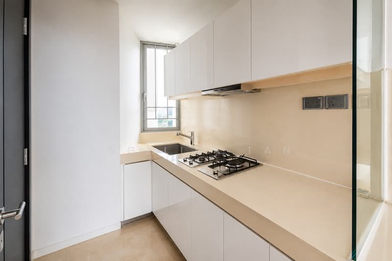 Madison Residences, 355 Bukit Timah Road, 4 Bedrooms, 1,766 sqft, Condominium For Rent, by Angelina Tan, 500226407 - Kitchen - PropertyGuru.com.sg