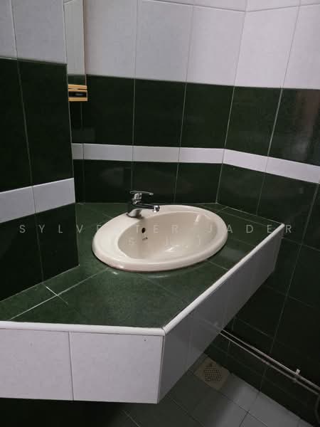 Teacher's Housing Estate, 45 Munshi Abdullah Avenue, 4 Bedrooms, 2,500 sqft, Terraced House For Sale, by Sylvester Jader (S.J.), 500226554 - Bathroom - PropertyGuru.com.sg
