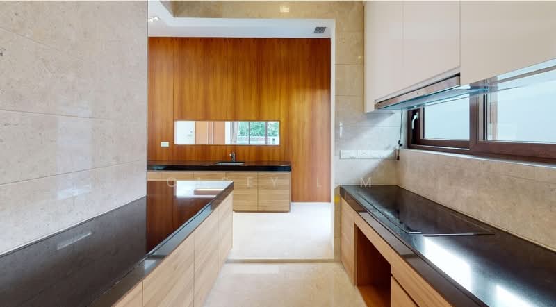 182A Lornie Road, Lornie Road, 6 Bedrooms, 9,350 sqft, Detached House For Rent, by Casey Lim, 500226584 - Kitchen fully equipped - PropertyGuru.com.sg