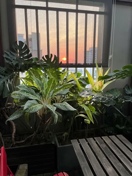 Tanamera Crest, 6 Pari Dedap Walk, 4 Bedrooms, 1,970 sqft, Condominium For Sale, by Dawnson Gui, 500226978 - 1st Floor outdoor patio - PropertyGuru.com.sg