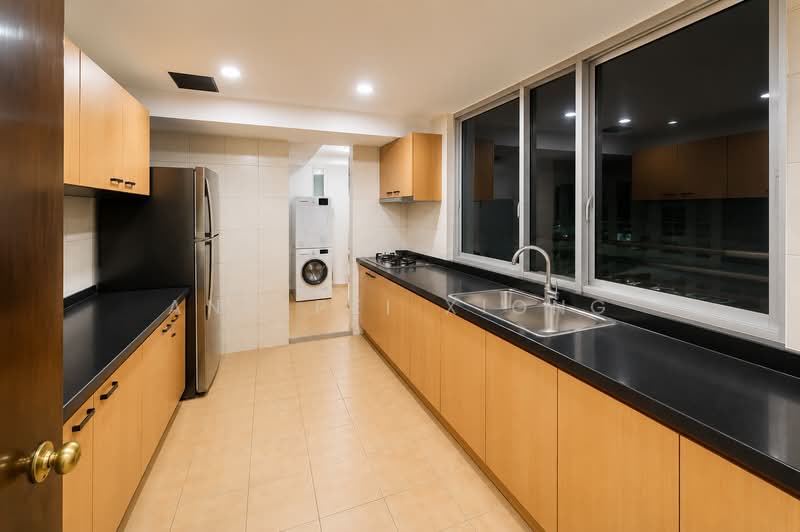 UE Square, 207 River Valley Road, 4 Bedrooms, 1,916 sqft, Apartment For Rent, by Ang Pei Xiong, 500227137 - Kitchen - PropertyGuru.com.sg