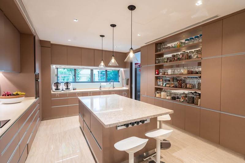 Jalan Selanting, Jalan Selanting, Clementi Park / Upper Bukit Timah, 7 Bedrooms, 7,700 sqft, Semi-Detached House For Sale, by Richard Jany, 500227208 - Kitchen - PropertyGuru.com.sg