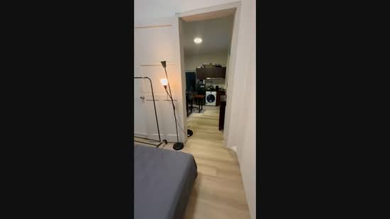 727 havelock road, Havelock, 1 Bedroom, 380 sqft, Shophouse For Rent, by Yang (Young) Li, 500227292 - PropertyGuru.com.sg