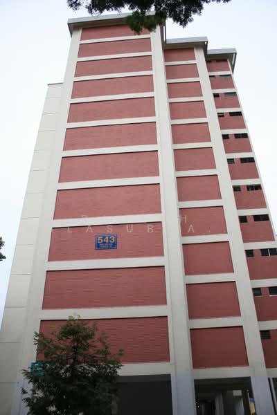 543 Ang Mo Kio Avenue 10, 543 Ang Mo Kio Avenue 10, 3 Bedrooms, 1,100 sqft, HDB Flat For Rent, by Rajesh Balasubramanian, 500227819 - Exterior - PropertyGuru.com.sg