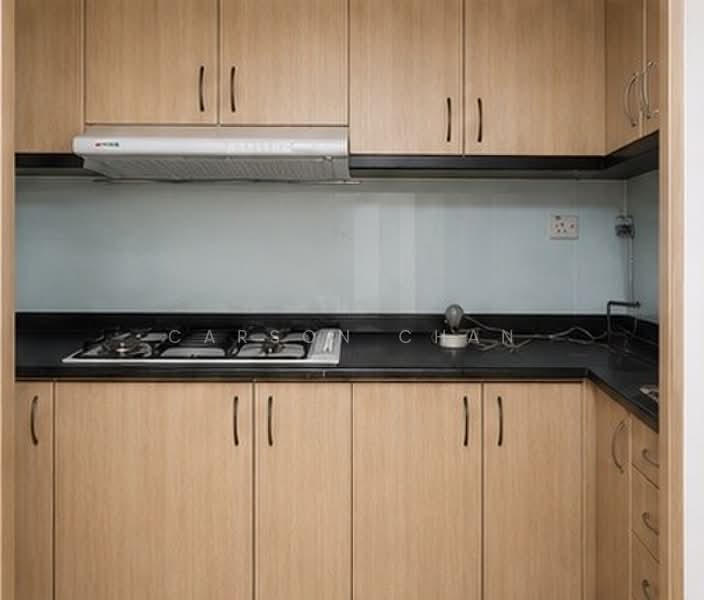 Palm Gardens, 3 Hong San Walk, 3 Bedrooms, 1,206 sqft, Condominium For Sale, by Carson Chan, 500228152 - Kitchen - PropertyGuru.com.sg