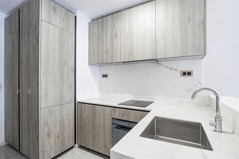 Leedon Green, 32 Leedon Heights, 1 Bedroom, 474 sqft, Condominium For Sale, by Don Png, 500228351 - Kitchen - PropertyGuru.com.sg