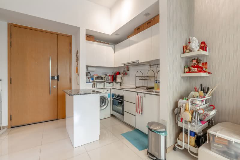 Terrasse, 23 Terrasse Lane, 1 Bedroom, 657 sqft, Condominium For Sale, by Shelby Lai, 500228386 - Kitchen - PropertyGuru.com.sg