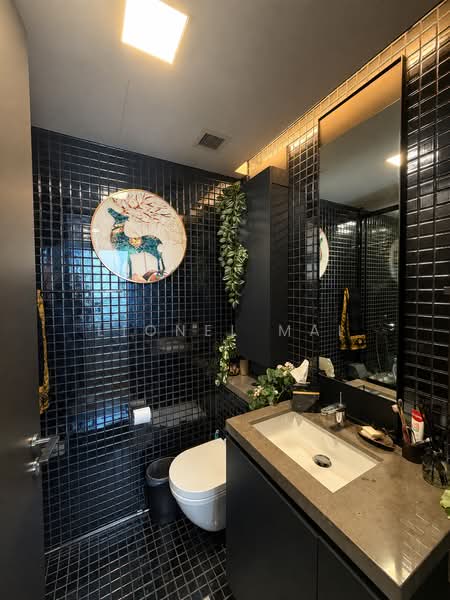 Skysuites @ Anson, 8 Enggor Street, 1 Bedroom, 398 sqft, Condominium For Sale, by Lionel Mai, 500228396 - Bathroom - PropertyGuru.com.sg