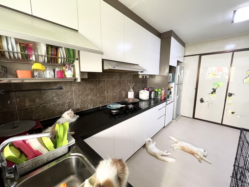 475 Jurong West Street 41, 475 Jurong West Street 41, Boon Lay / Jurong / Tuas, 2 Bedrooms, 785 sqft, HDB Flat For Sale, by Sani Faisal, 500228489 - Kitchen - PropertyGuru.com.sg