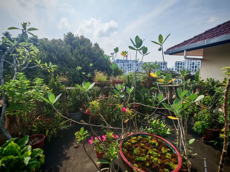 Near Cashew Mrt And Saint Joseph Church, , 6 Bedrooms, 8,300 sqft, Bungalow House For Sale, by Desmond Tan, 500228657 - Garden - PropertyGuru.com.sg