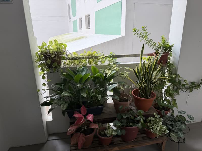 736 Jurong West Street 75, 736 Jurong West Street 75, Boon Lay / Jurong / Tuas, 3 Bedrooms, 1,431 sqft, HDB Flat For Sale, by Agt Parthiban, 500229054 - Balcony - PropertyGuru.com.sg