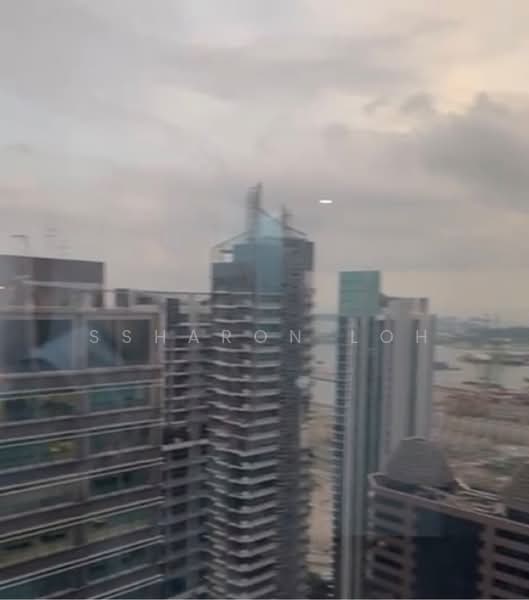 International Plaza, 10 Anson Road, 1 Bedroom, , Apartment For Rent, by Ssharon Loh, 500229093 - PropertyGuru.com.sg