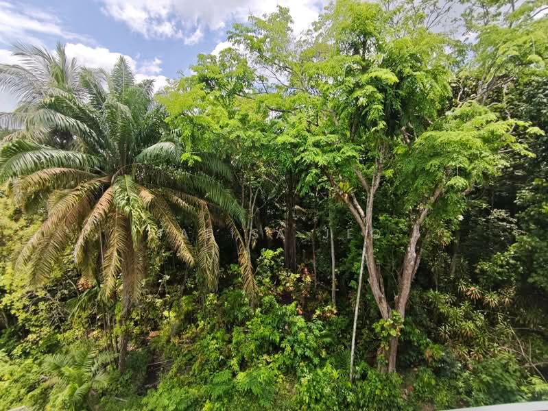 Possibly the Best-Priced New Semi-Detached in Bukit Timah, Greenbank Park Binjai Hua Guan Jalan Kampung Chantek Sian Tuan Jalan Jambu Ayer Mawar Yuk Tong Avenue Chun Tin Toh Tuck Upper Bukit Timah Eng Kong, Clementi Park / Upper Bukit Timah, 5 Bedrooms, 5,436 sqft, Semi-Detached House For Sale, by Marisa Jeo, 500229272 - PropertyGuru.com.sg